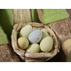 Košík vajíčok